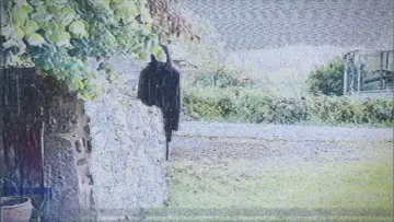 Backdrop to the movie "L