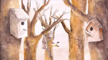 Backdrop to the movie "Le chant des oiseaux" #1295422