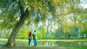 Backdrop to the movie "Rewrite" #1173513