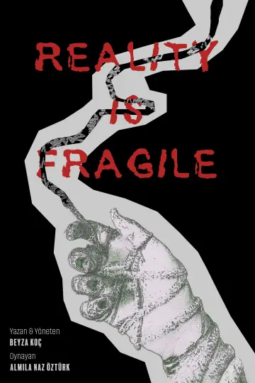 Poster to the movie "Reality Is Fragile" #1155077