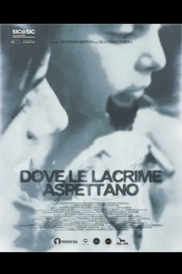 Where The Tears Await Poster