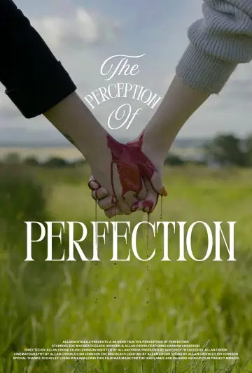 The Perception of Perfection Poster