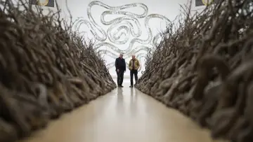 Backdrop to the movie "Andy Goldsworthy in Conversation with Andrew Graham-Dixon" #1349672