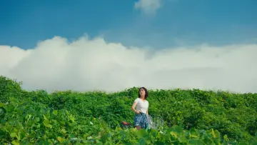 Backdrop to the movie "Beach Fictions" #1572422