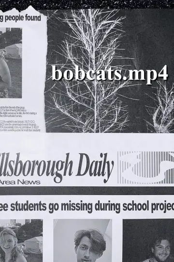 bobcats.mp4 Poster