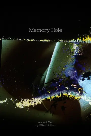 Memory Hole Poster