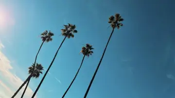 Backdrop to the movie "People & Things" #1196058