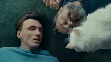Cats on Glass Poster