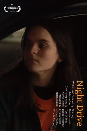 Night Drive Poster