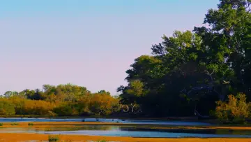 Backdrop to the movie "Hablan las aves" #1196085