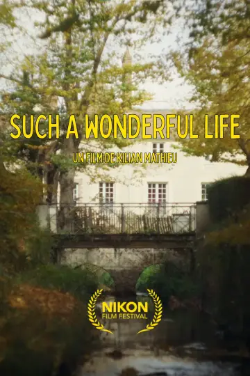 Poster to the movie "Such a Wonderful Life (long version)" #1196555