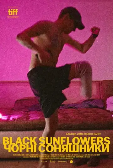 Black Sunflowers Poster