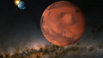 Backdrop to the movie "Musk