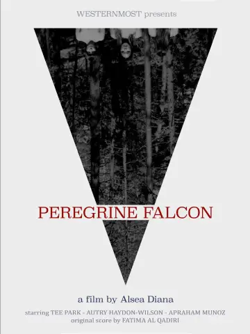 Peregrine Falcon