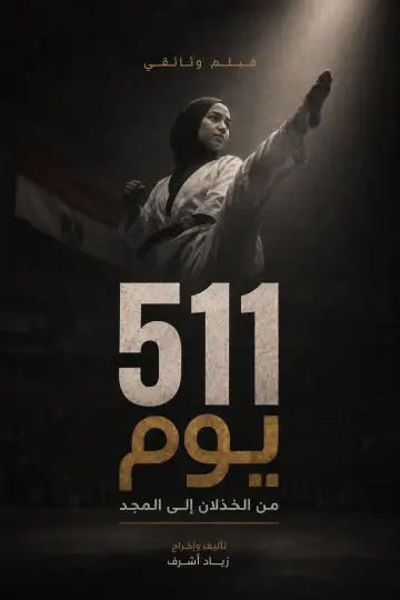 511 Days Poster