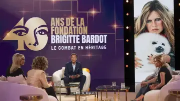 Backdrop to the movie "Brigitte Bardot - Le combat en héritage" #1285381