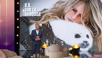 Backdrop to the movie "Brigitte Bardot - Le combat en héritage" #1285384