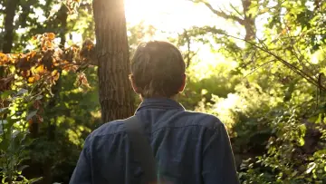 Backdrop to the movie "Finding Godot" #1352149