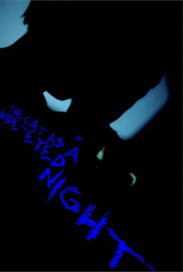 The Cat Is A Wide-Eyed Night Poster
