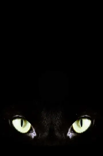Halloween Claws Poster