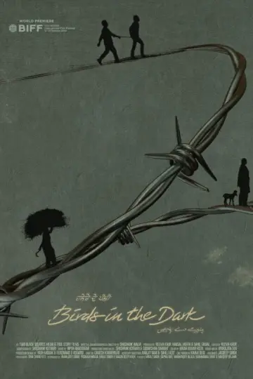 Birds in the Dark