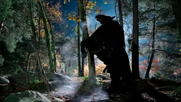 Backdrop to the movie "Meurtres à Fontainebleau" #1573928