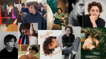 The True Story of Timothée Chalamet Poster