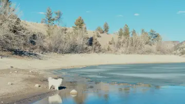 Backdrop to the movie "50 Hours to Wyoming" #1533626