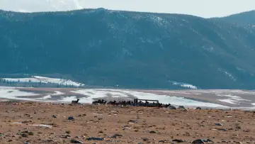 Backdrop to the movie "50 Hours to Wyoming" #1533631
