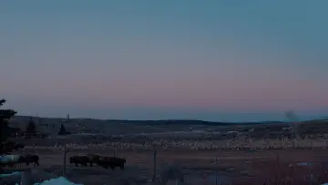Backdrop to the movie "50 Hours to Wyoming" #1533636