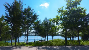 Backdrop to the movie "Just Talk." #1533640