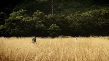 Backdrop to the movie "Oitavo Andar" #1545470