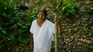 Backdrop to the movie "Chevittorma" #1573024