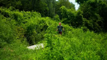 Backdrop to the movie "Somewhere, Ohio" #1624994