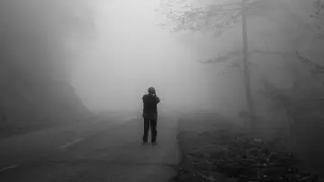 Backdrop to the movie "On the Road with Abbas Kiarostami" #1572664