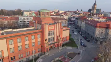 Backdrop to the movie "Lev salonu" #1574653