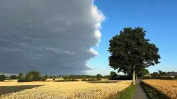 Backdrop to the movie "Extreme Weather: Drought and Heavy Rain" #1574952