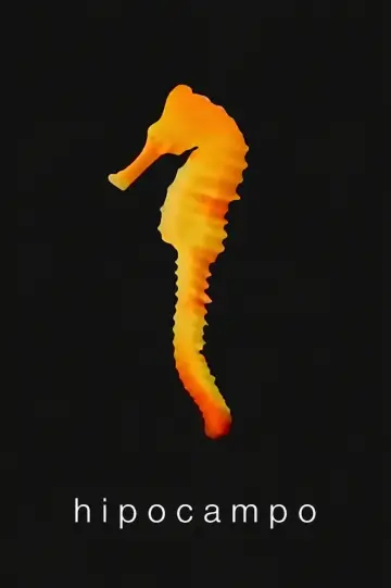 Hippocampus Poster