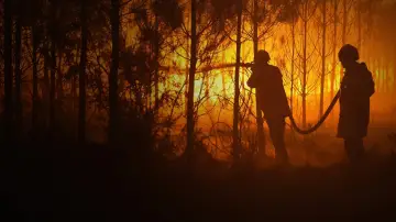 Backdrop to the movie "Sauvons nos Forêts" #1658093