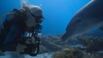 Backdrop to the movie "Dolphins: My Close Encounters" #1742501
