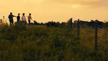 Backdrop to the movie "If I Only Had Wings" #1625428