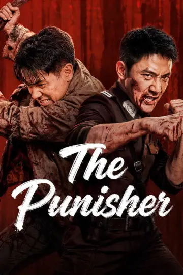 Poster to the movie "The Punisher" #1691803