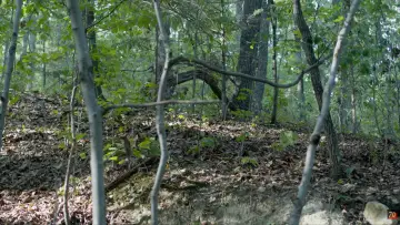 Backdrop to the movie "The Cycle of the Darkened Croach" #1735318