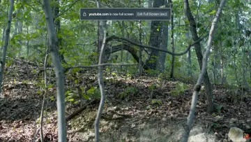 Backdrop to the movie "The Cycle of the Darkened Croach" #1735320