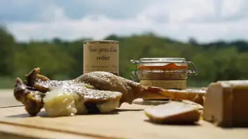 Backdrop to the movie "La cuisine du Sud-Ouest se confie" #1786168