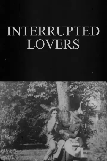 Poster to the movie "Interrupted Lovers" #961486