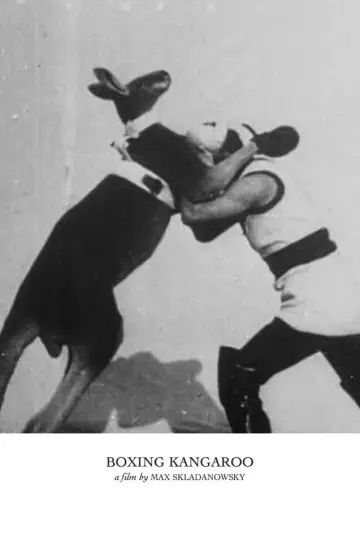 Poster to the movie "The Boxing Kangaroo" #963984