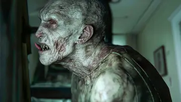 Backdrop to the movie "Zombies: Faszination der Untoten" #1903675