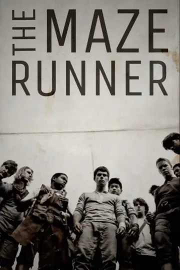 Poster to the movie "The Maze Runner" #1529089