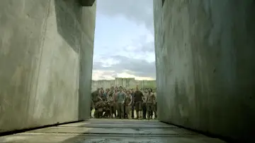 Backdrop to the movie "The Maze Runner" #1642438